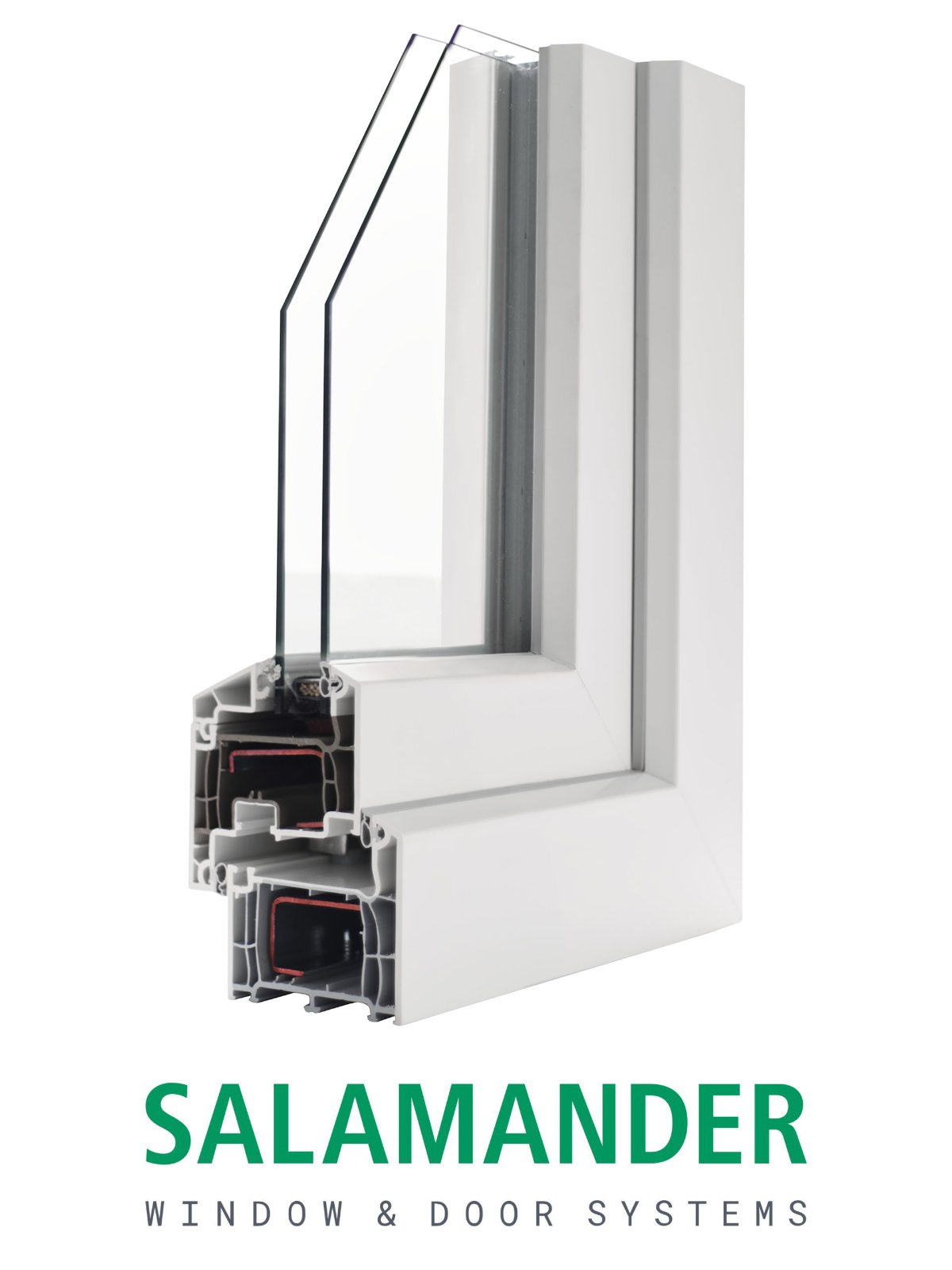Salamander
